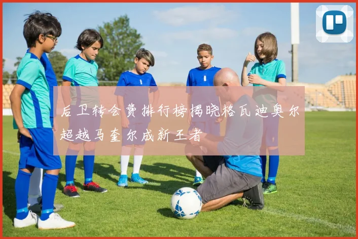后卫转会费排行榜揭晓格瓦迪奥尔超越马奎尔成新王者
