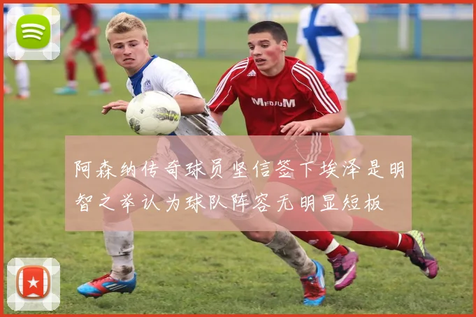 阿森纳传奇球员坚信签下埃泽是明智之举认为球队阵容无明显短板